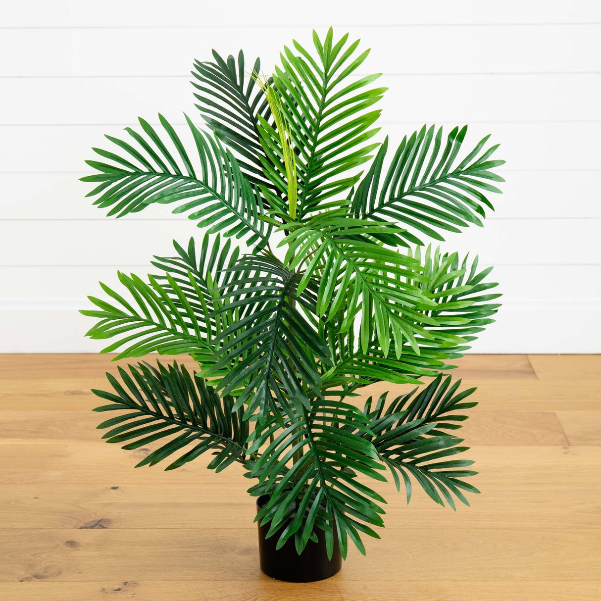 3’ Paradise Palm Artificial Tree-Parc Decor