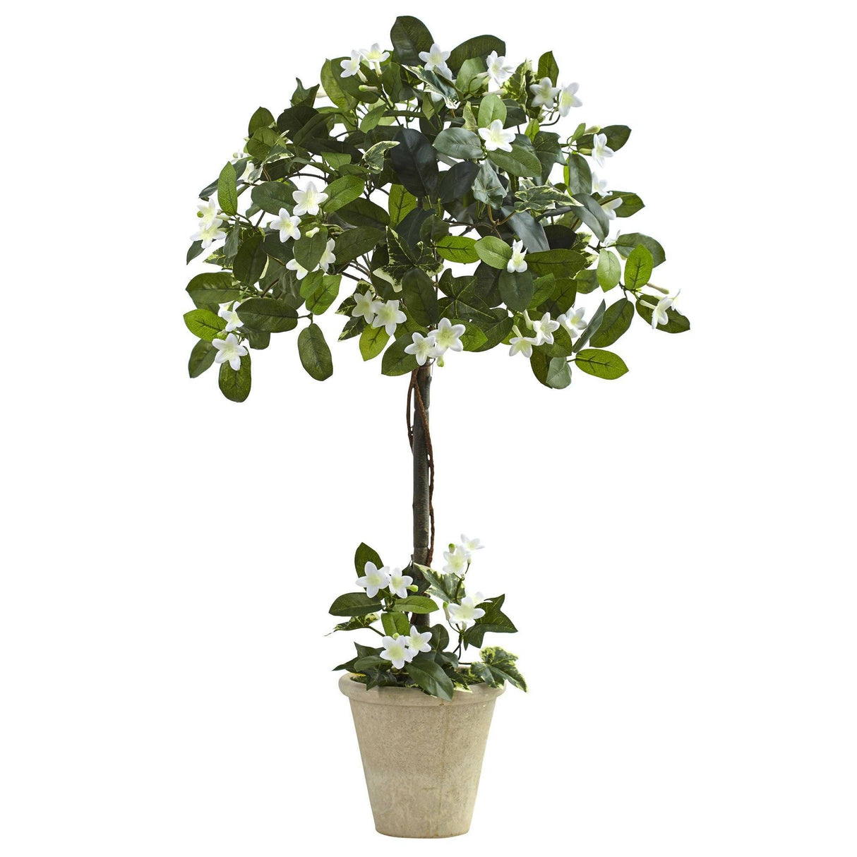 3’ Stephanotis Topiary w/Planter-Parc Decor