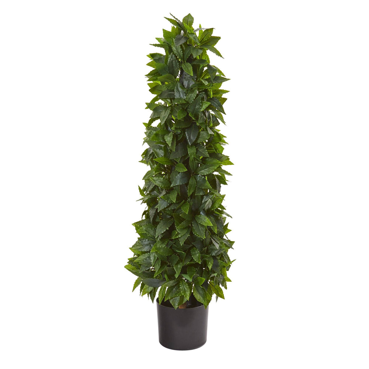 3’ Sweet Bay Cone Topiary Artificial Tree-Parc Decor