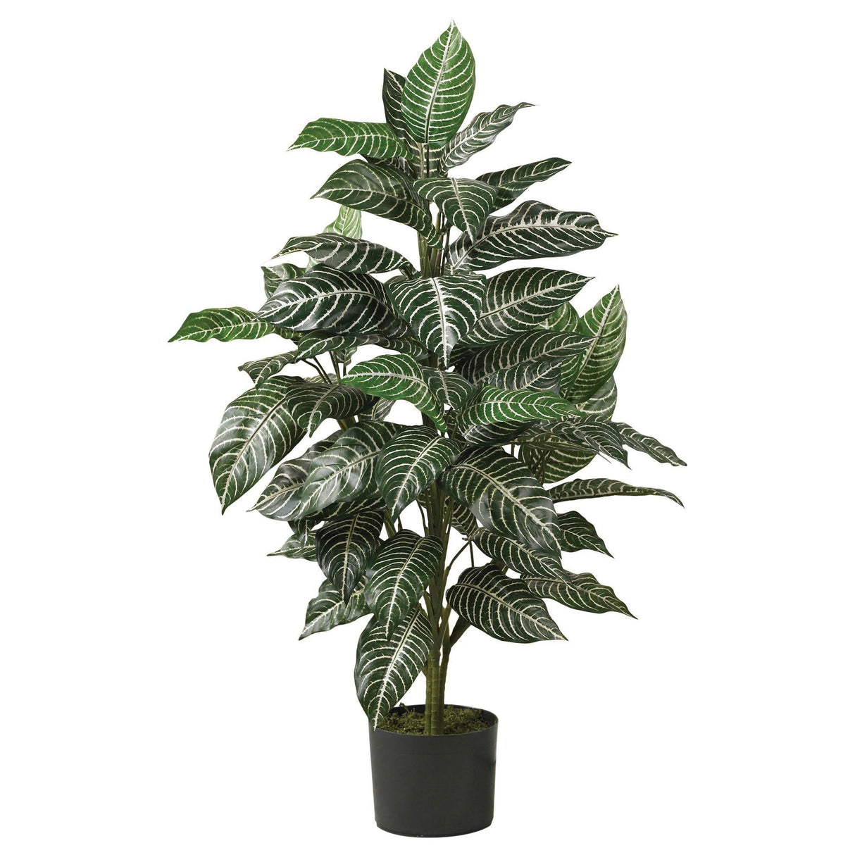 3' Zebra Silk Plant-Parc Decor