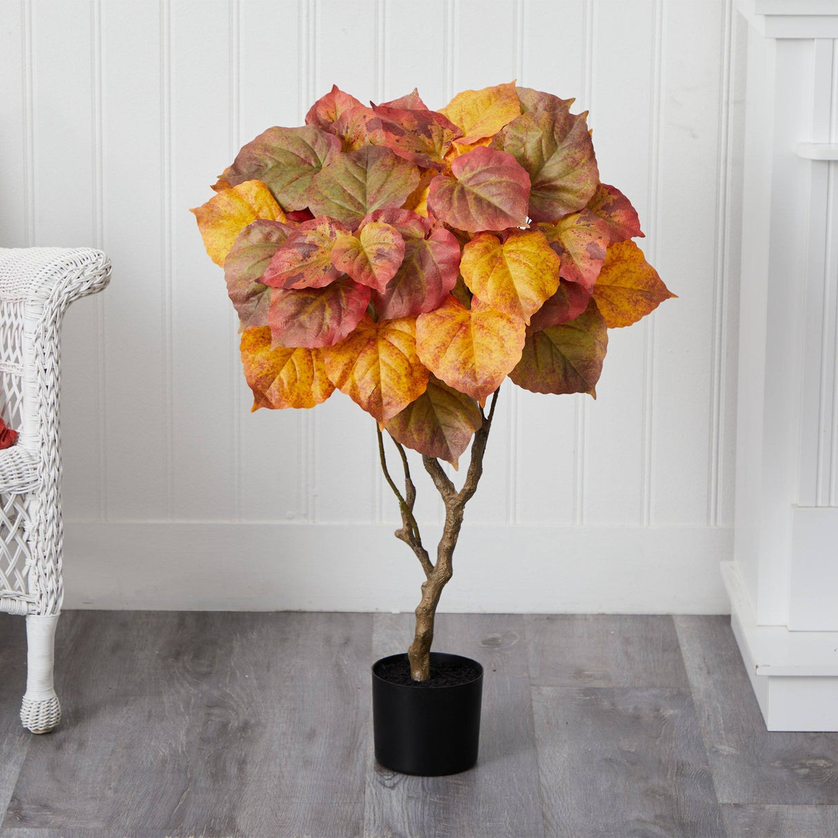 3’ Autumn Umbrella Ficus Tree-Tree-Parc Decor