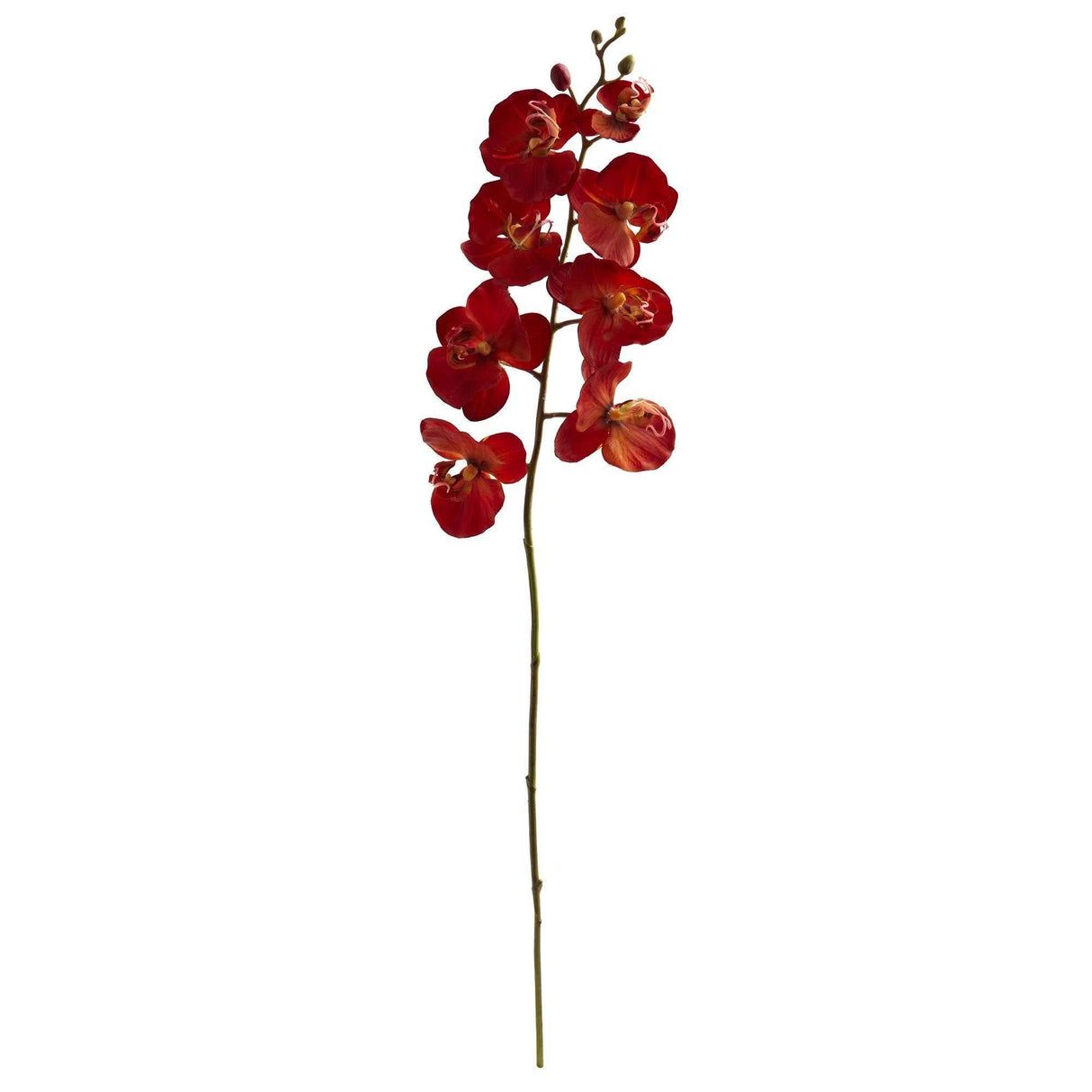 30” Autumn Phalaenopsis Artificial Flower (Set of 6)-Stem-Parc Decor