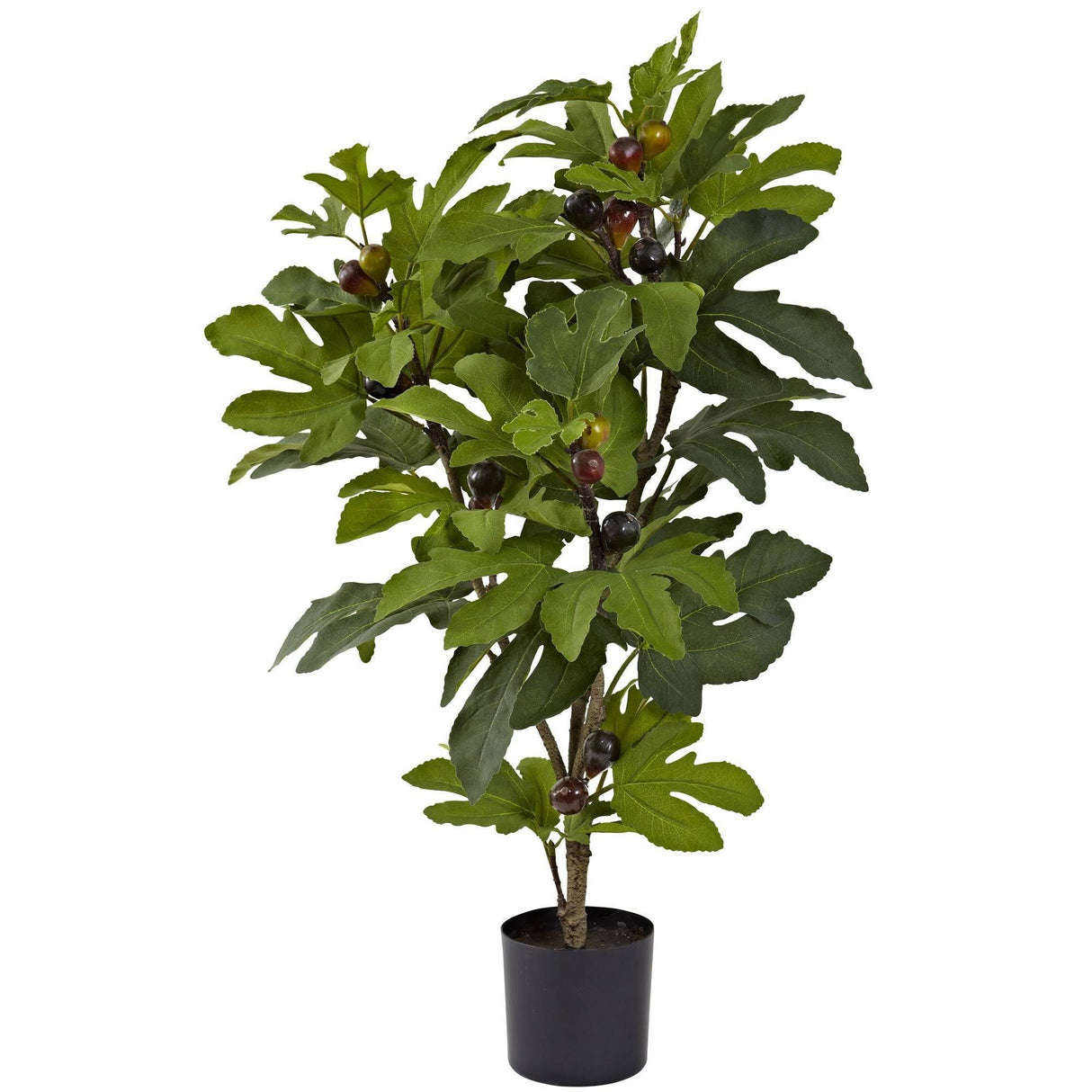 32” Fig Tree w/42 Lvs & 15 Figs-Parc Decor