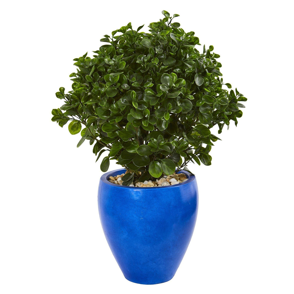 32” Peperomia Artificial Plant in Blue Planter(Indoor/Outdoor)-Parc Decor