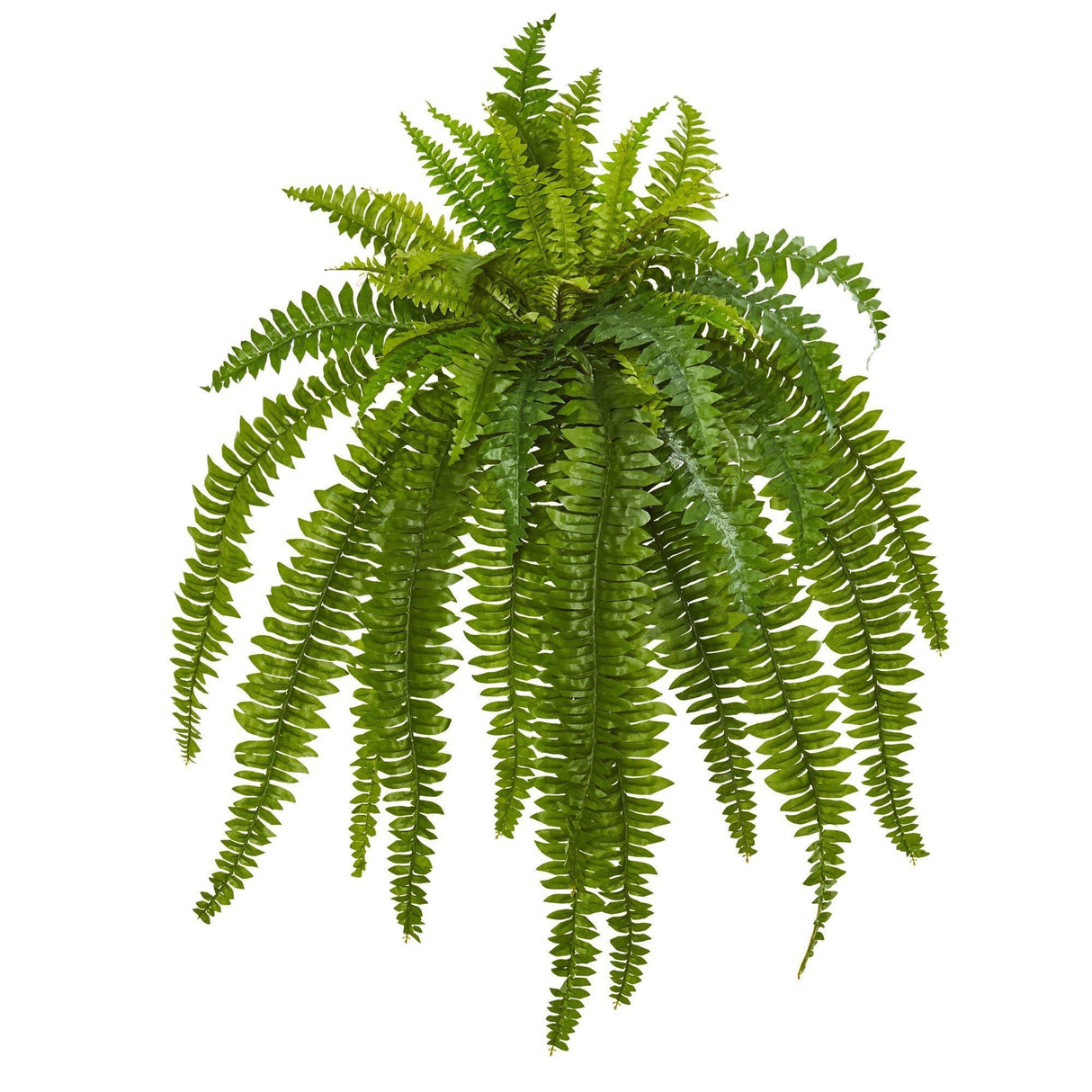35” Boston Fern Artificial Plant (Set of 2)-Parc Decor