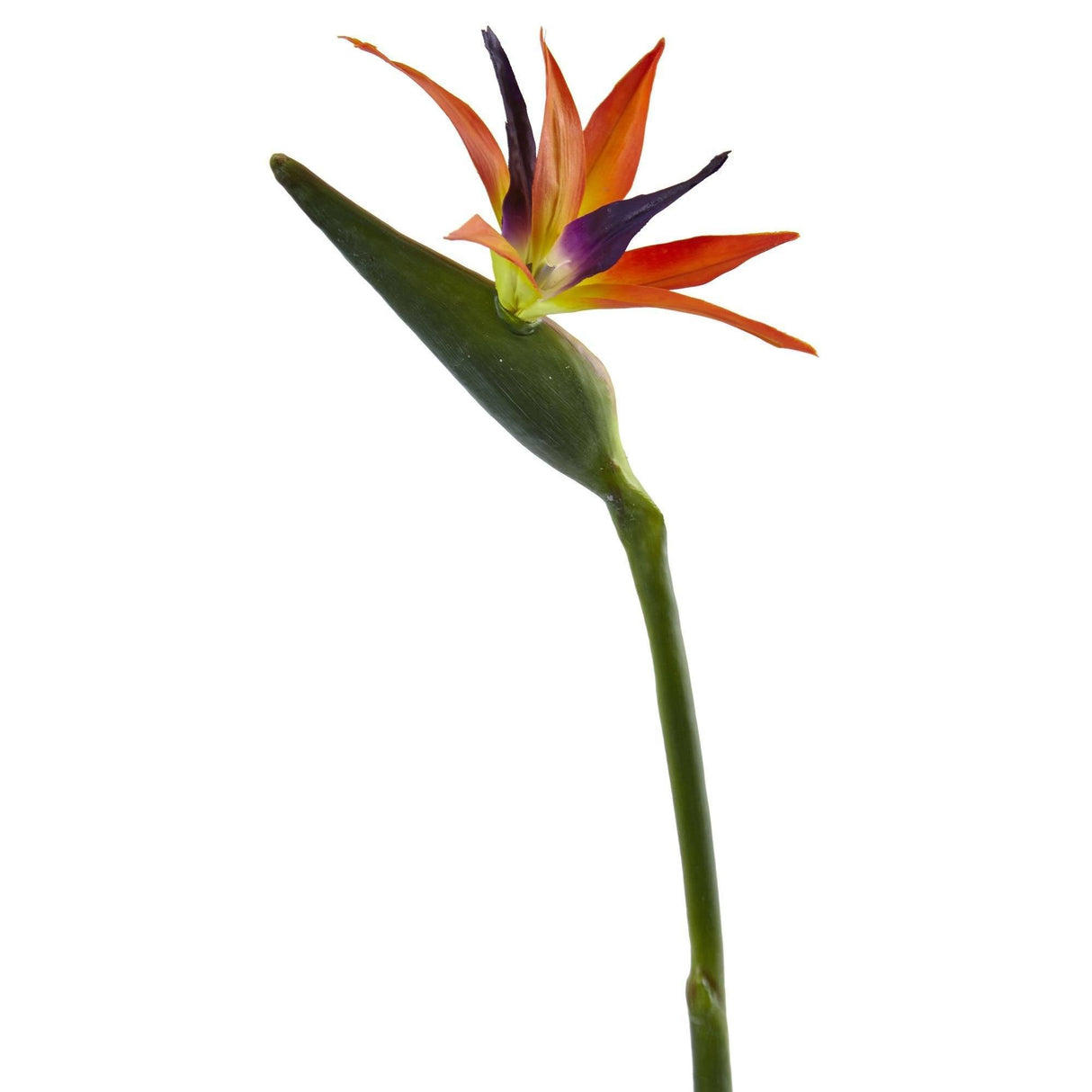 35’’ Bird of Paradise Artificial Flower (Set of 4)-Stem-Parc Decor