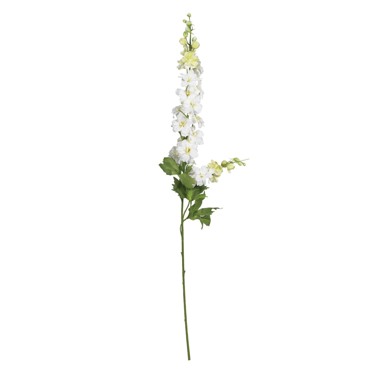 38.5" Delphinium Stem (Set of 12)"-Stem-Parc Decor