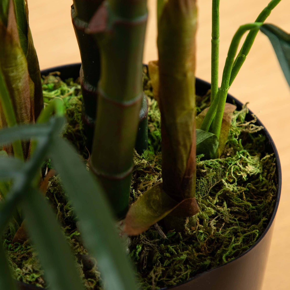 3.5' Areca Palm Tree UV Resistant (Indoor/Outdoor)-Parc Decor