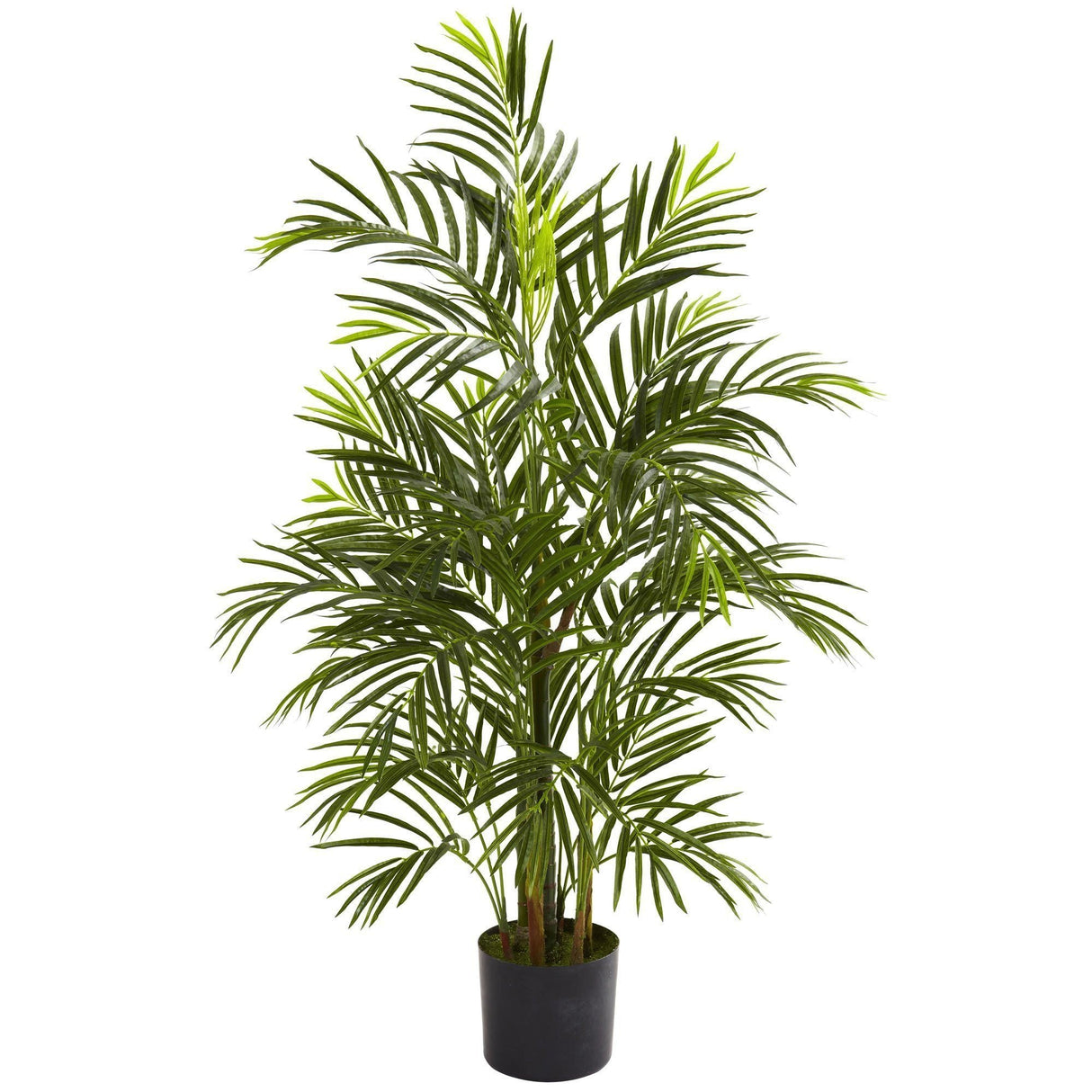 3.5' Areca Palm Tree UV Resistant (Indoor/Outdoor)-Parc Decor