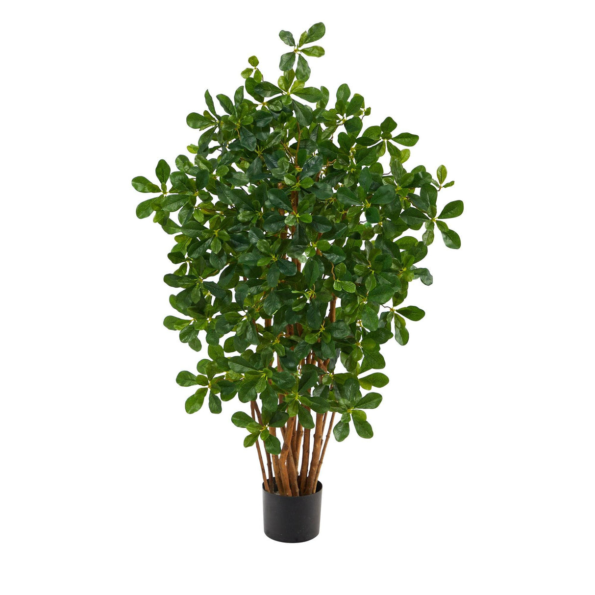 3.5’ Black Olive Artificial Tree-Parc Decor