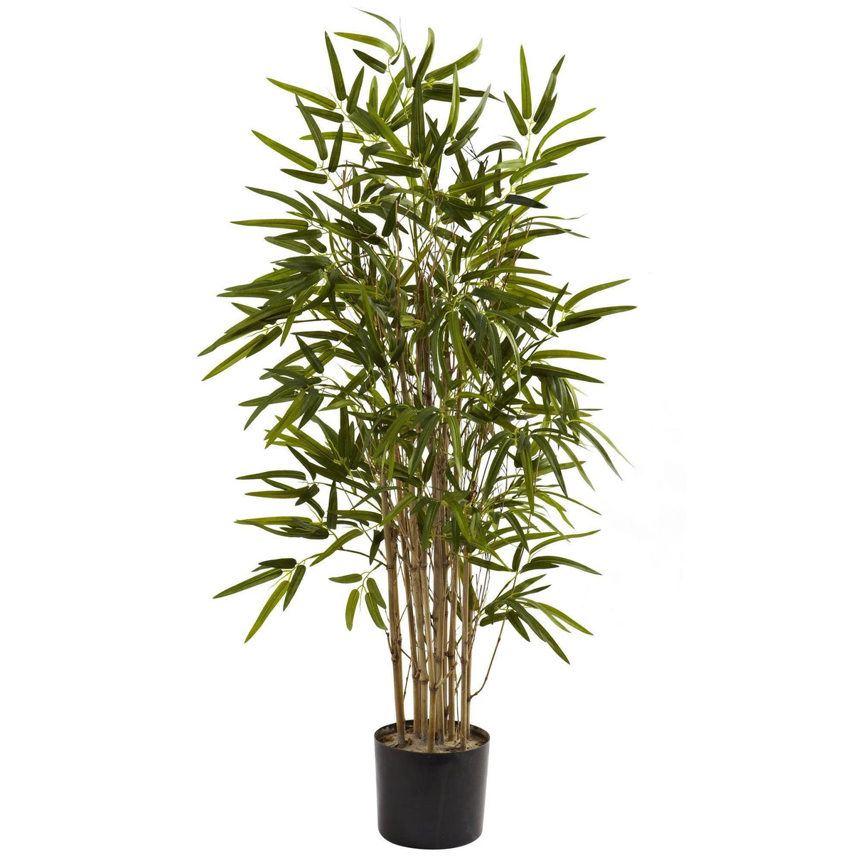 3.5' Twiggy Bamboo Tree-Parc Decor