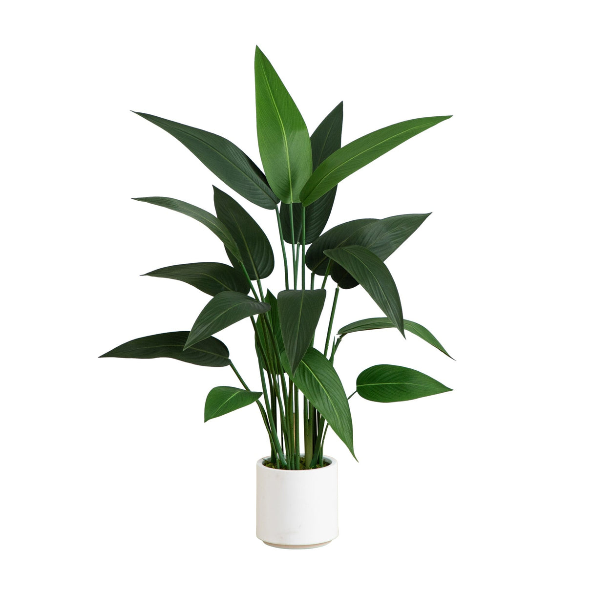 3.5' Artificial Sky Bird Tree in White Decorative Planter-Tree-Parc Decor