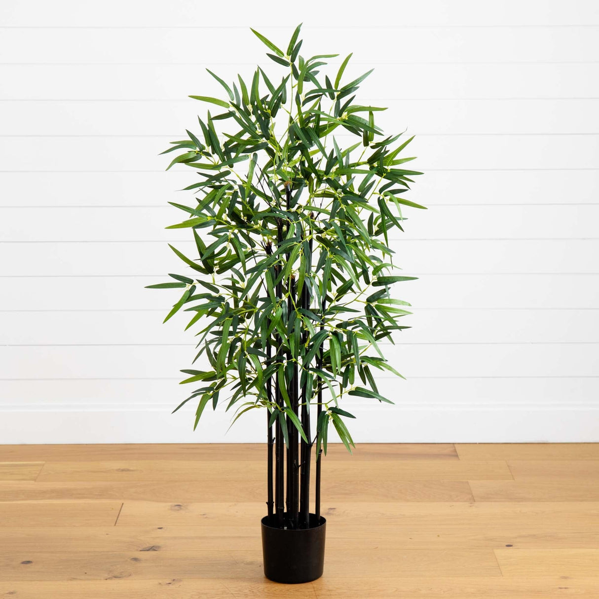 4’ Black Bamboo Tree-Parc Decor