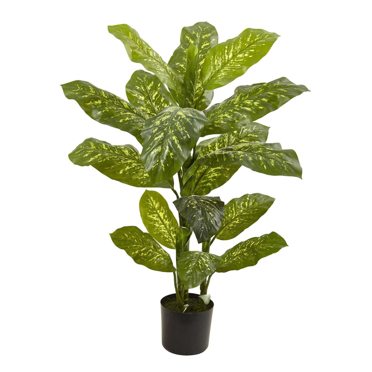 4’ Dieffenbachia Plant (Real Touch)-Parc Decor