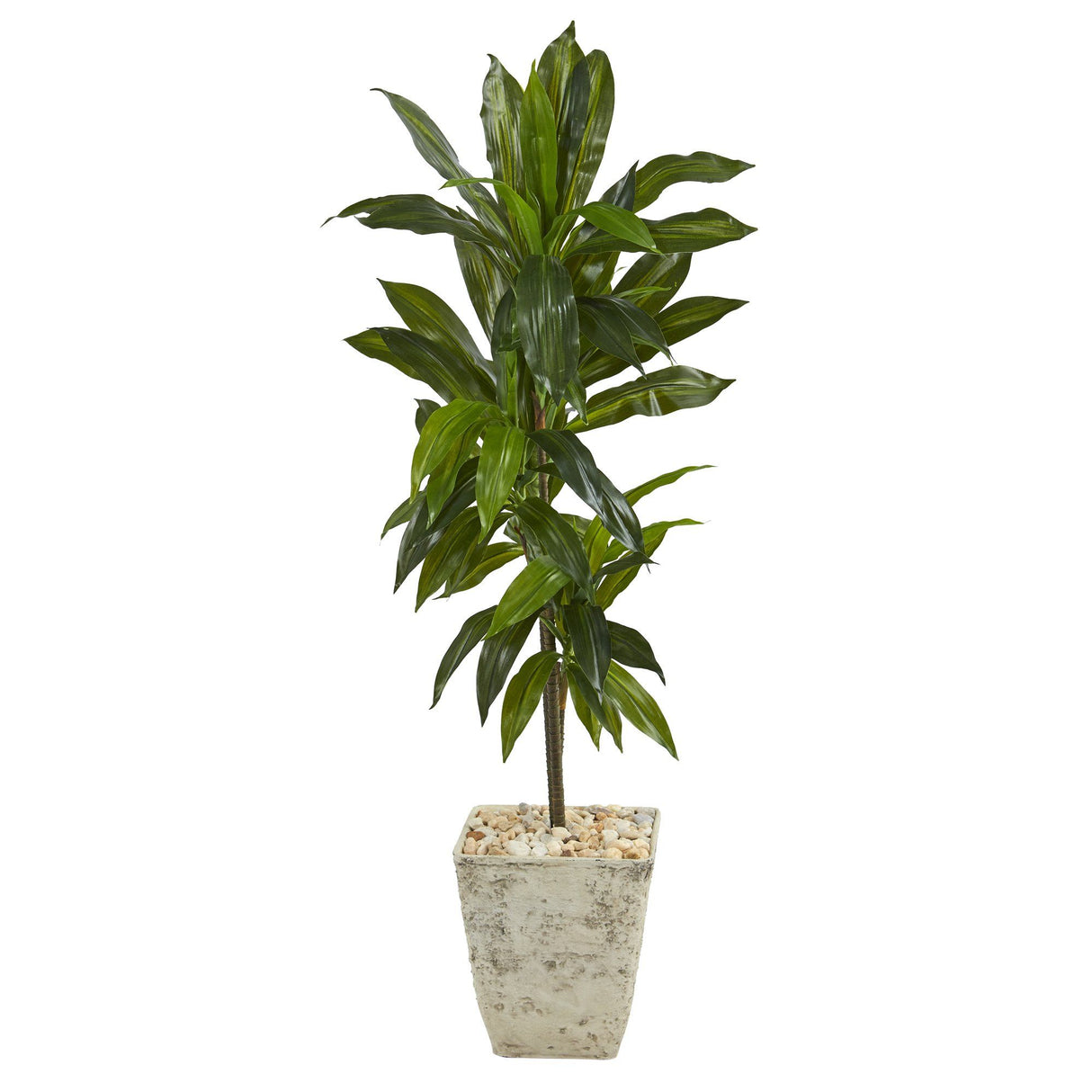 4’ Dracaena Artificial Plant in Country White Planter (Real Touch)-Parc Decor