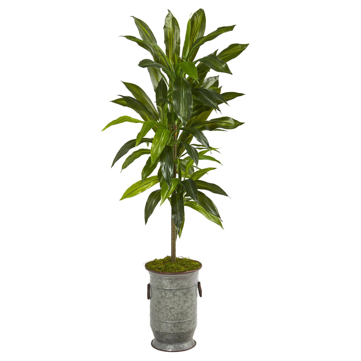 4’ Dracaena Artificial Plant in Vintage Metal Planter (Real Touch)-Parc Decor
