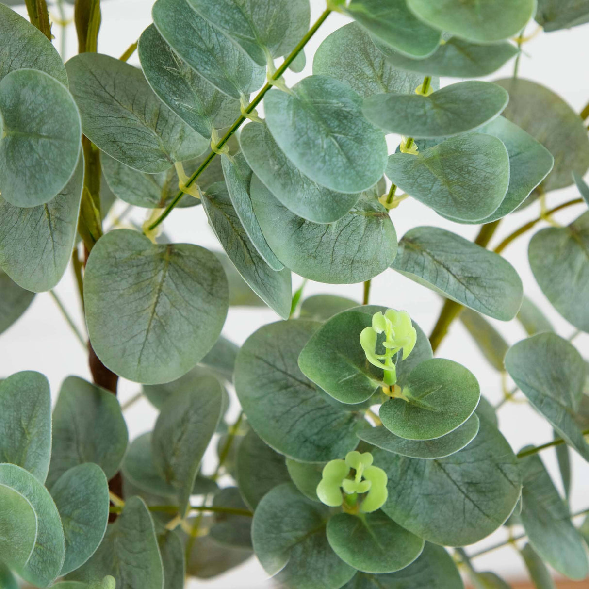 4’ Eucalyptus Artificial Tree-Parc Decor