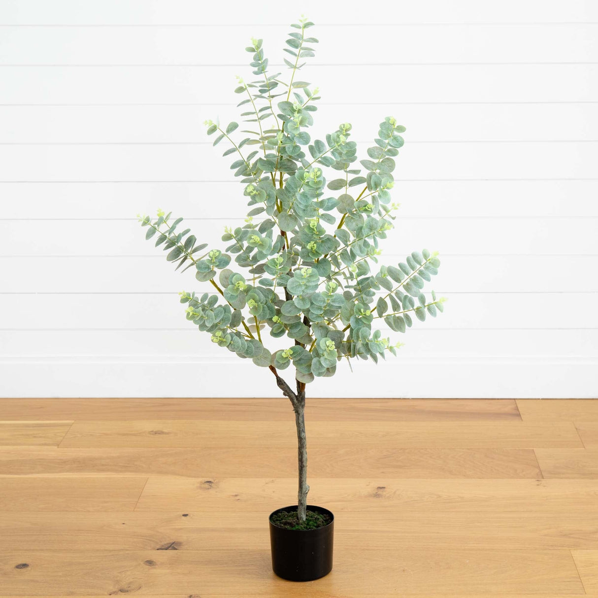 4’ Eucalyptus Artificial Tree-Parc Decor