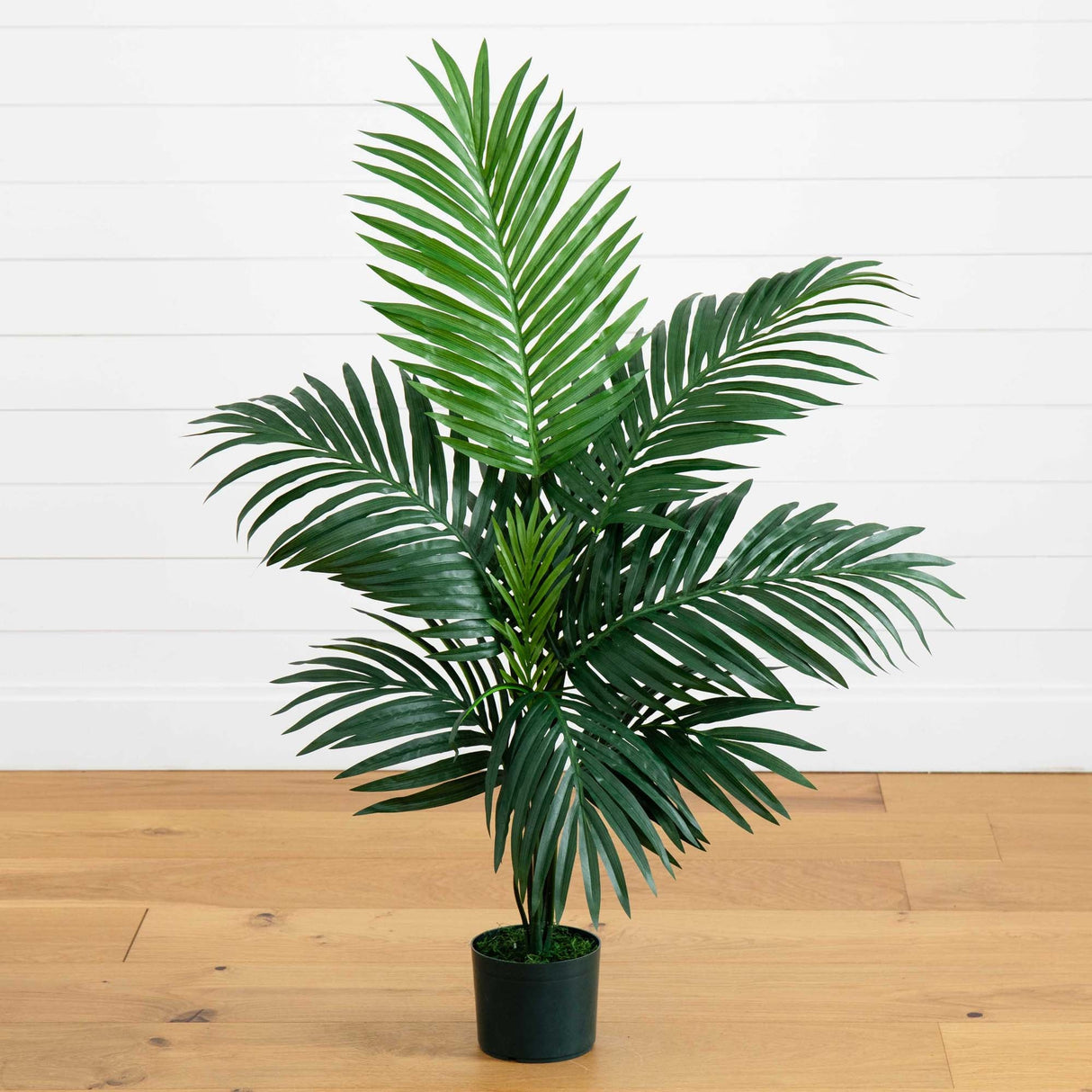 4' Faux Kentia Palm Silk Tree-Parc Decor