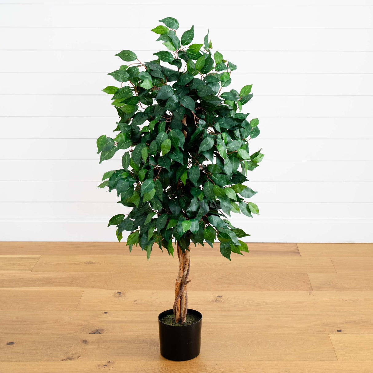 4' Ficus Auriculata Artificial Silk Tree-Parc Decor