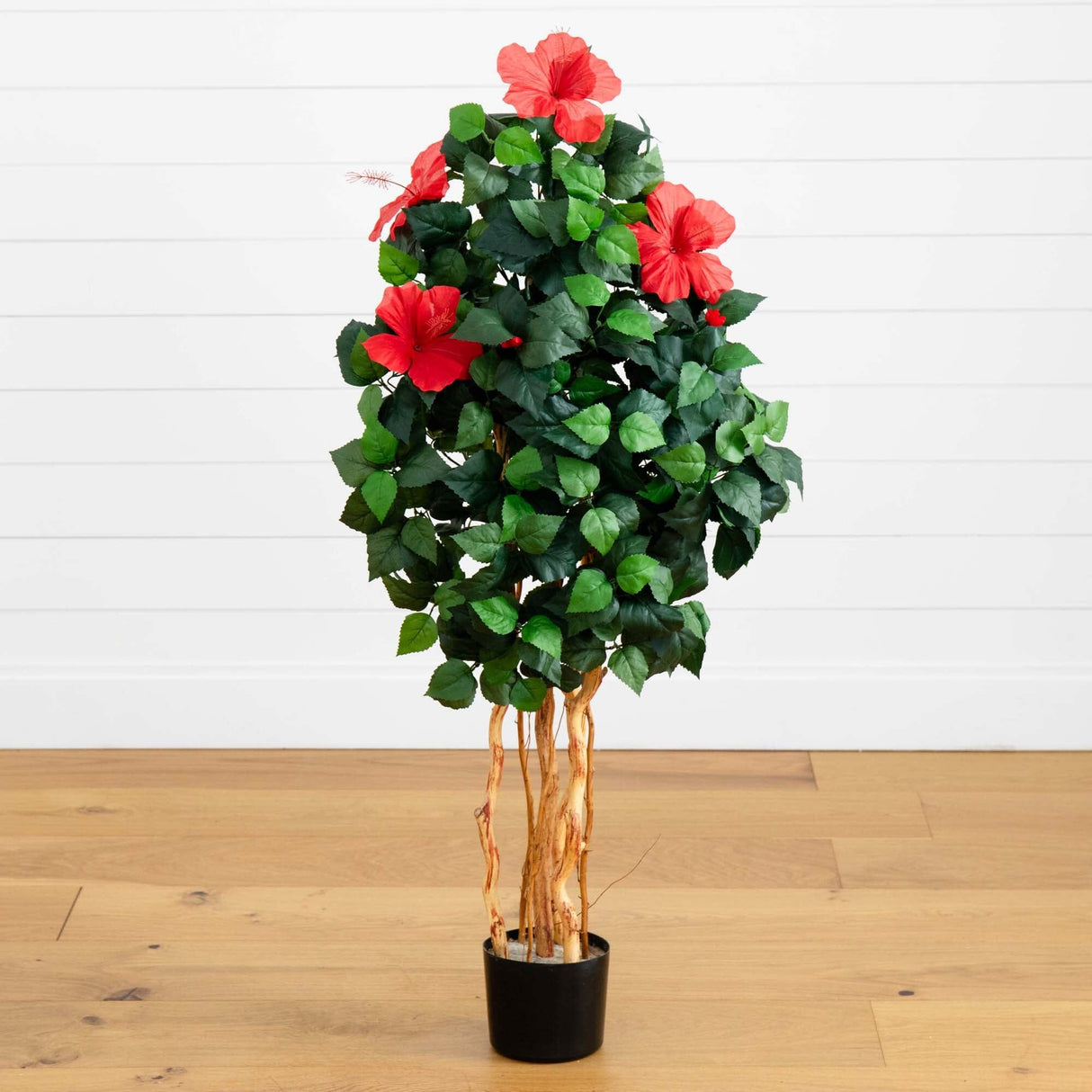 4’ Hibiscus Tree-Parc Decor