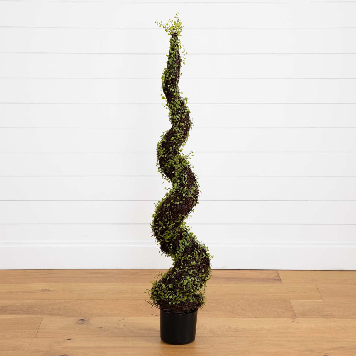 4’ Mohlenbechia Spiral Tree-Parc Decor