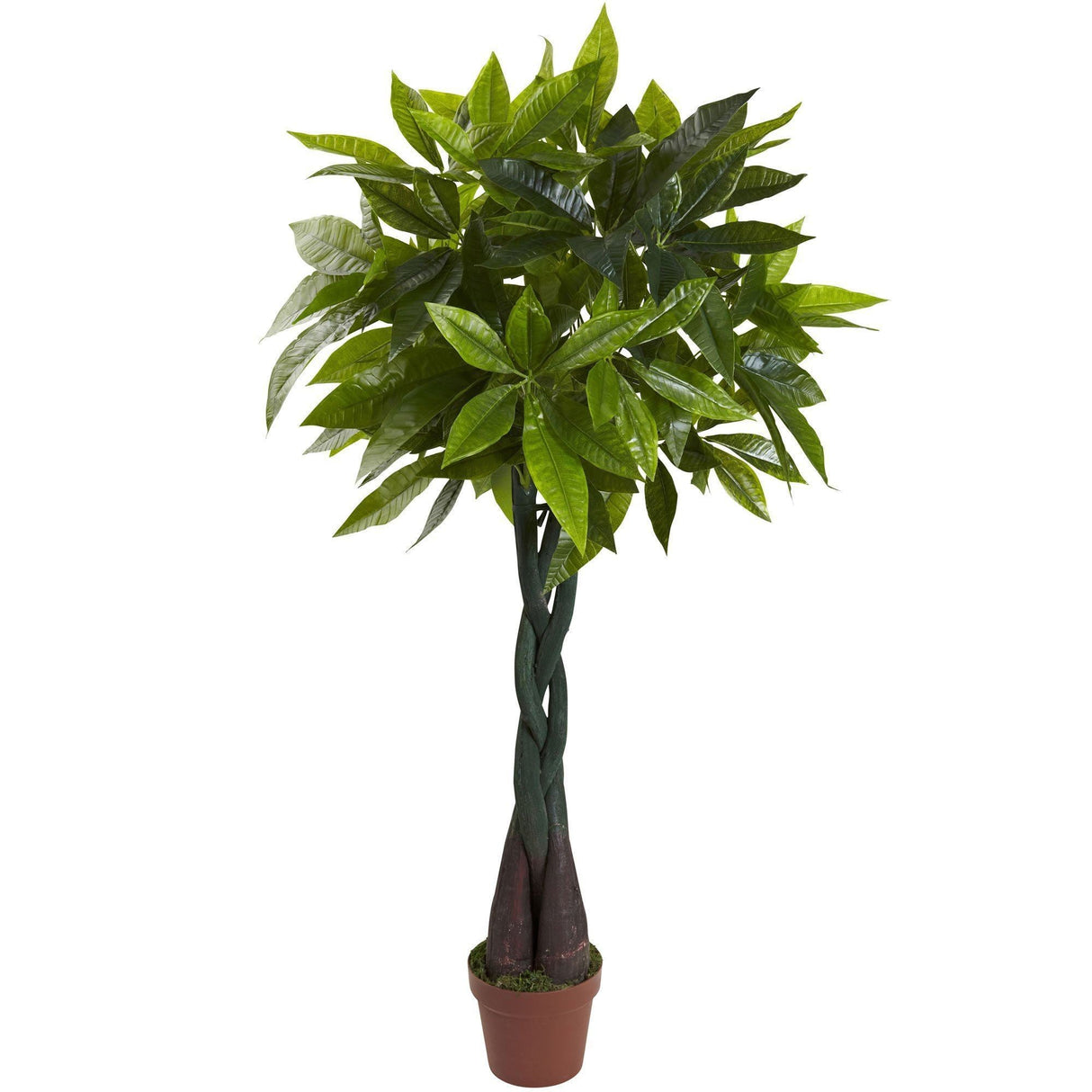 4’ Money Plant (Real Touch)-Parc Decor