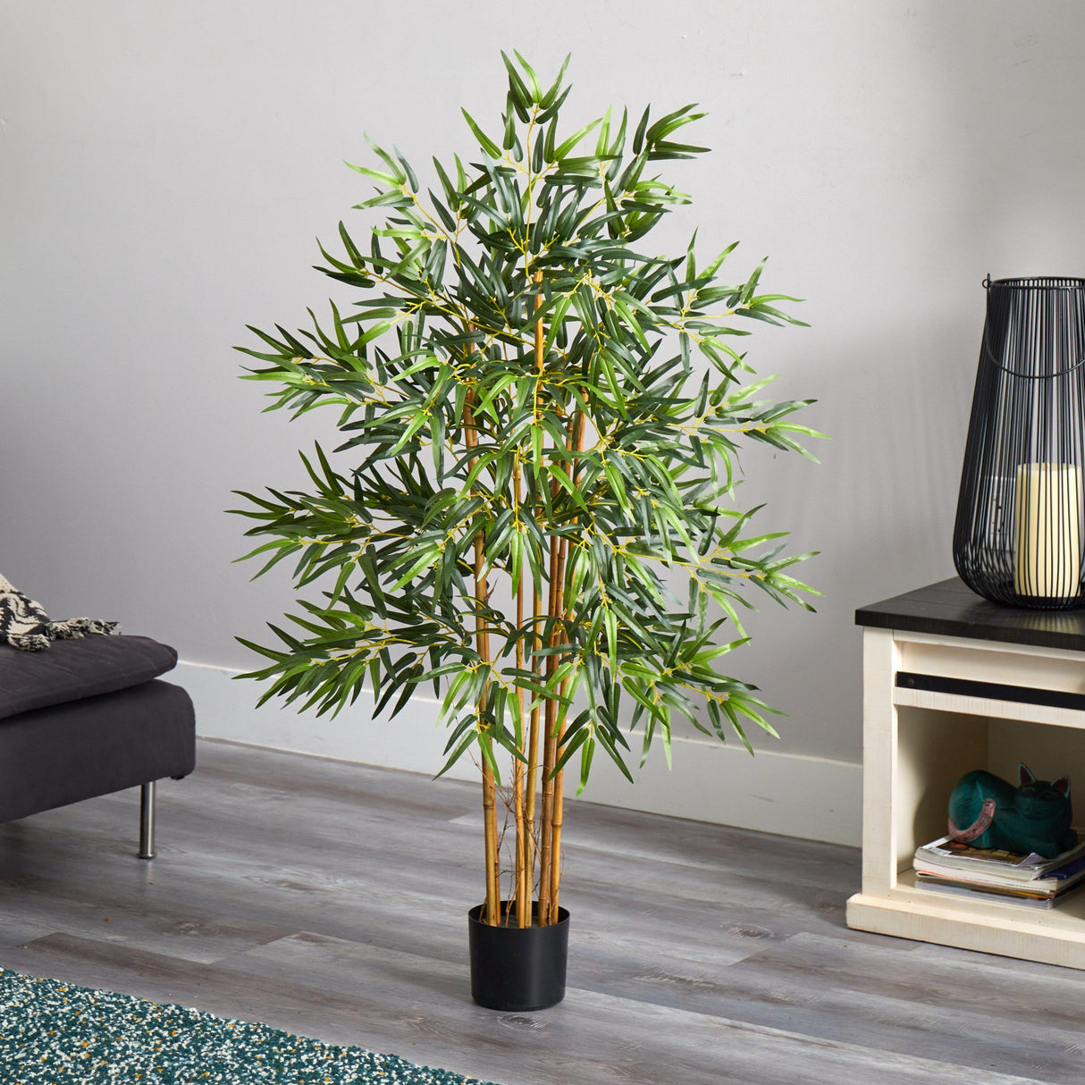 4' Multi Bambusa Bamboo Silk Tree-Parc Decor