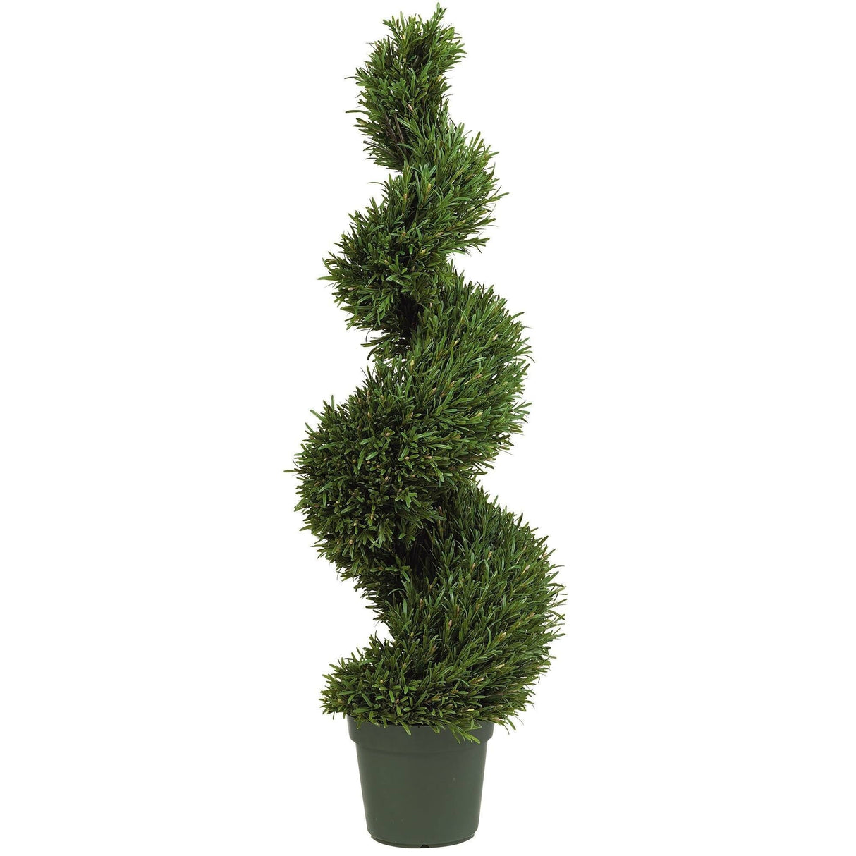 4' Rosemary Spiral Silk Tree (Indoor/Outdoor)-Parc Decor