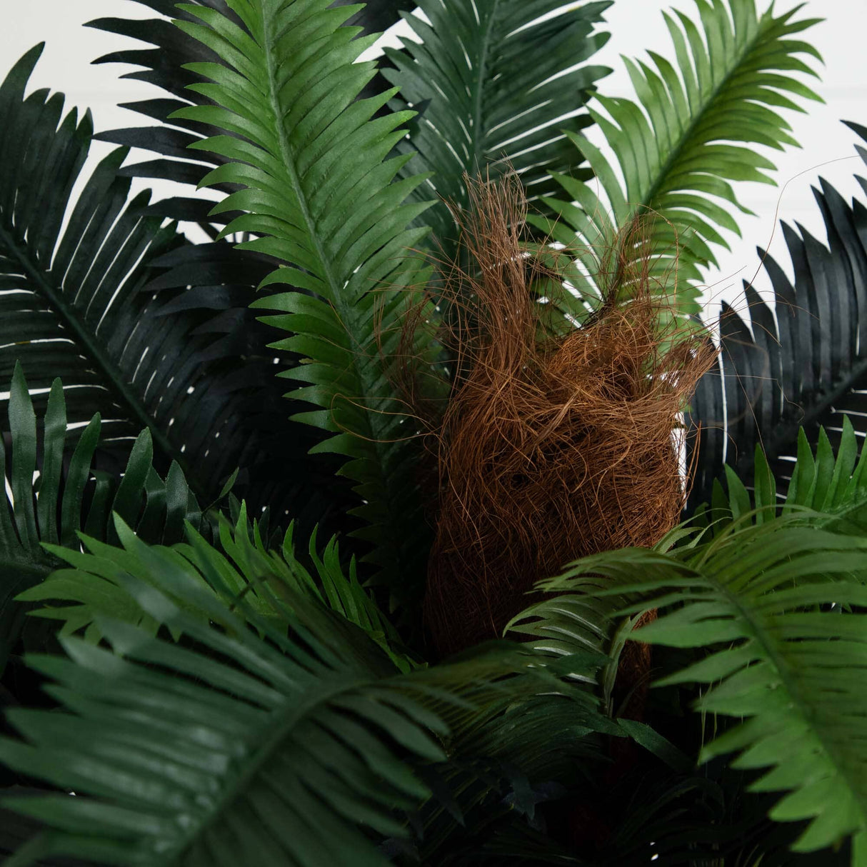 4' Sago Silk Palm Tree-Parc Decor