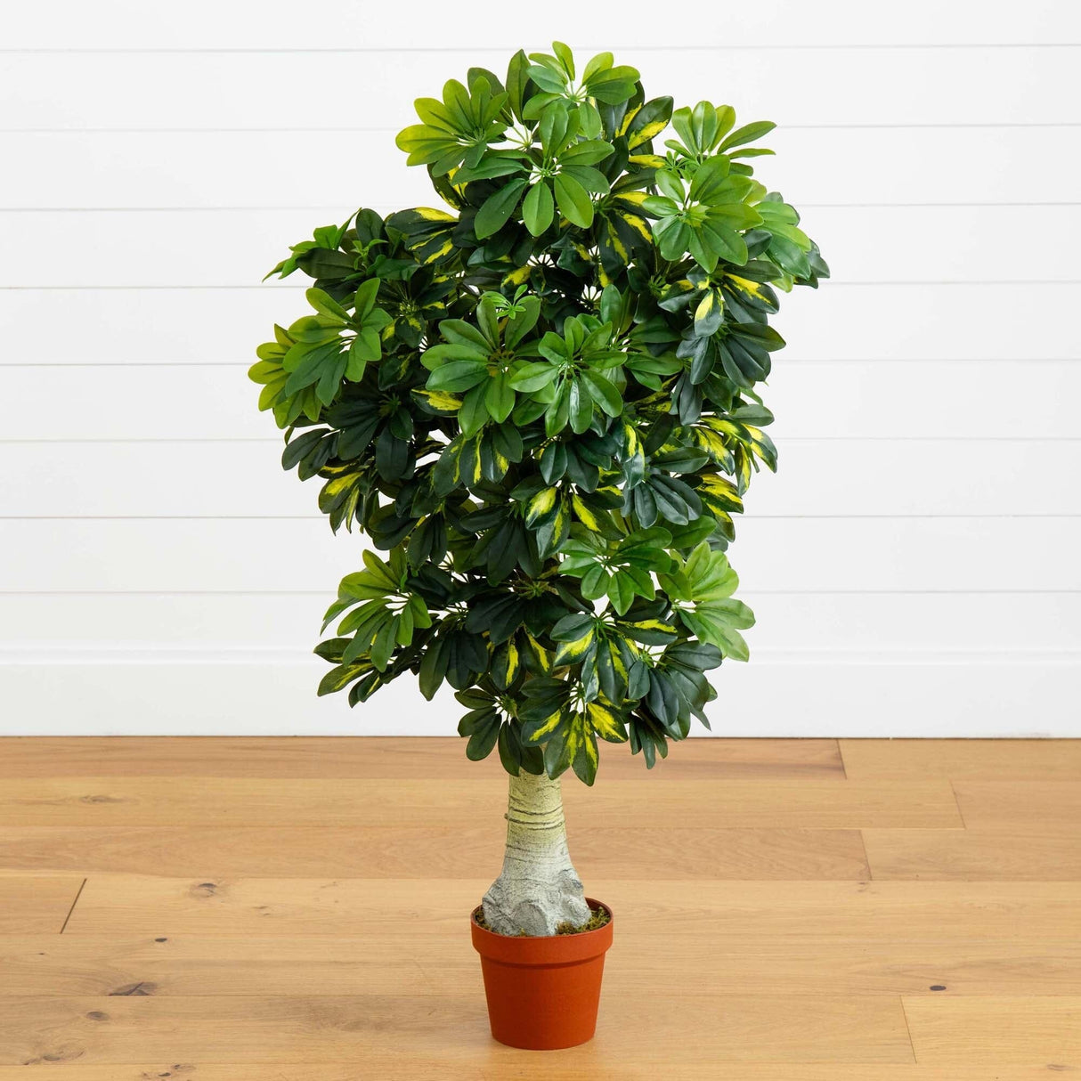4’ Schefflera Silk Tree (Real Touch)-Parc Decor