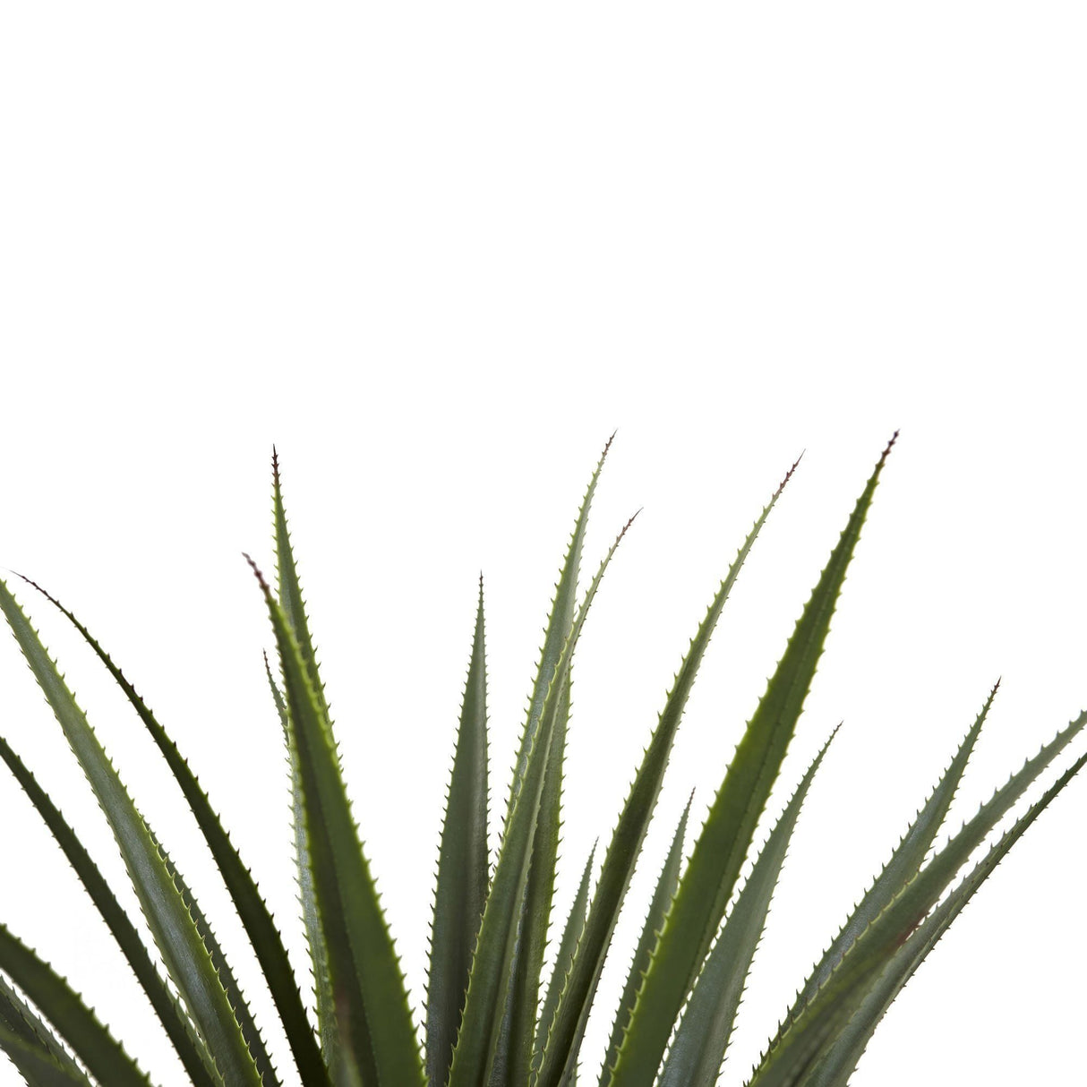 4’ Spiked Agave Plant-Parc Decor
