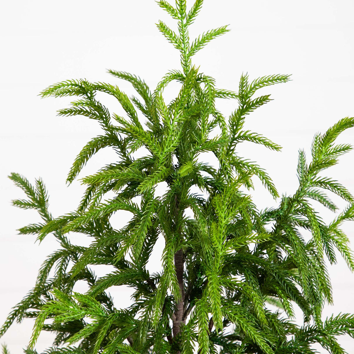 4' Artificial Norfolk Pine Tree-Christmas Tree-Parc Decor