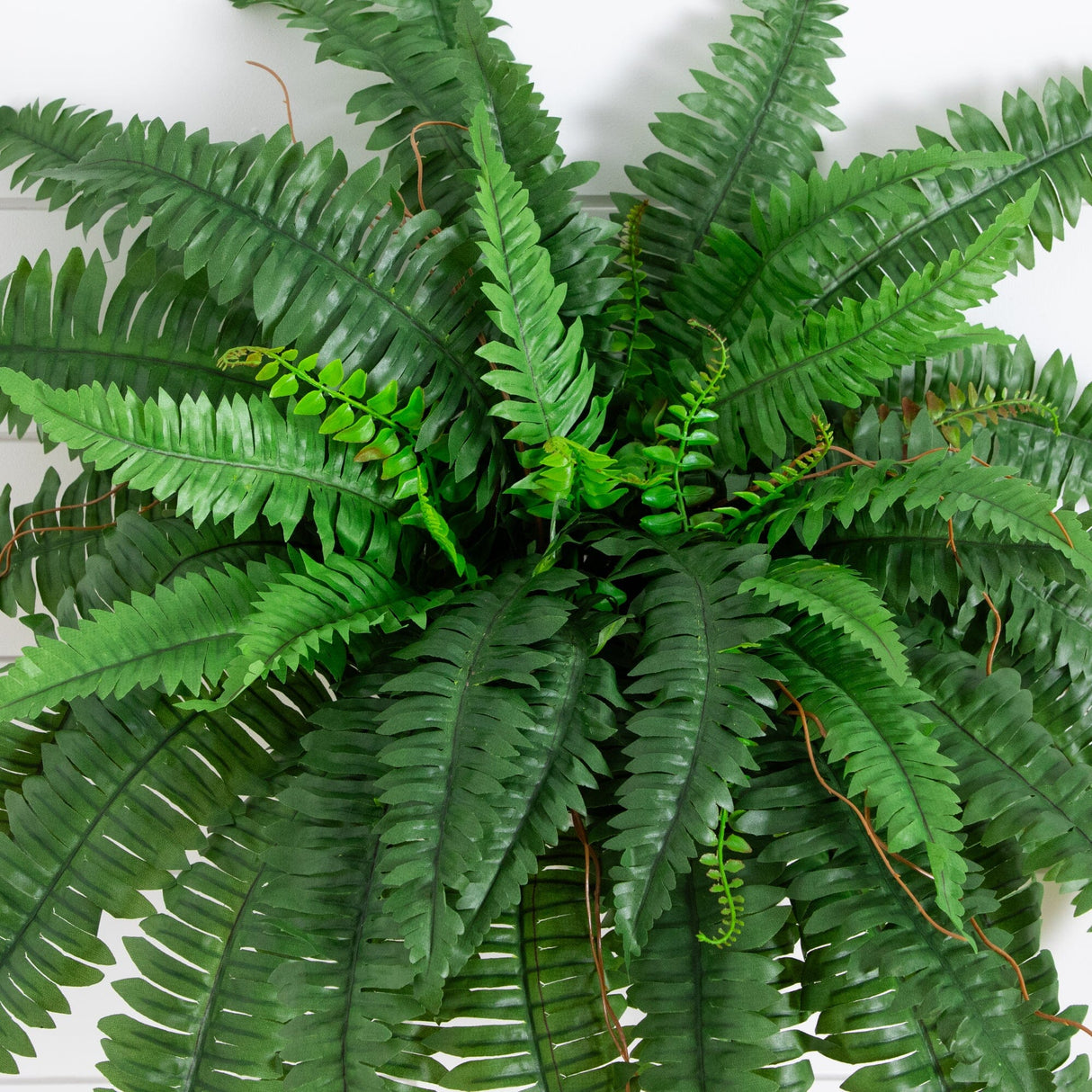 40” Artificial Boston Fern (Set of 2)-Parc Decor