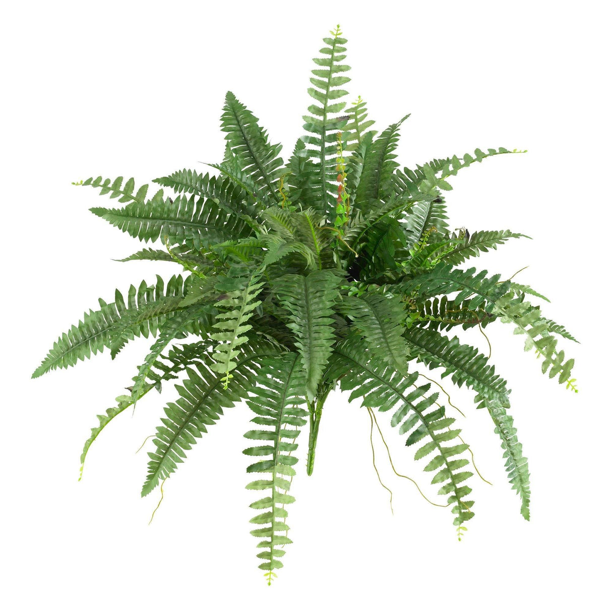 40” Artificial Boston Fern (Set of 2)-Parc Decor