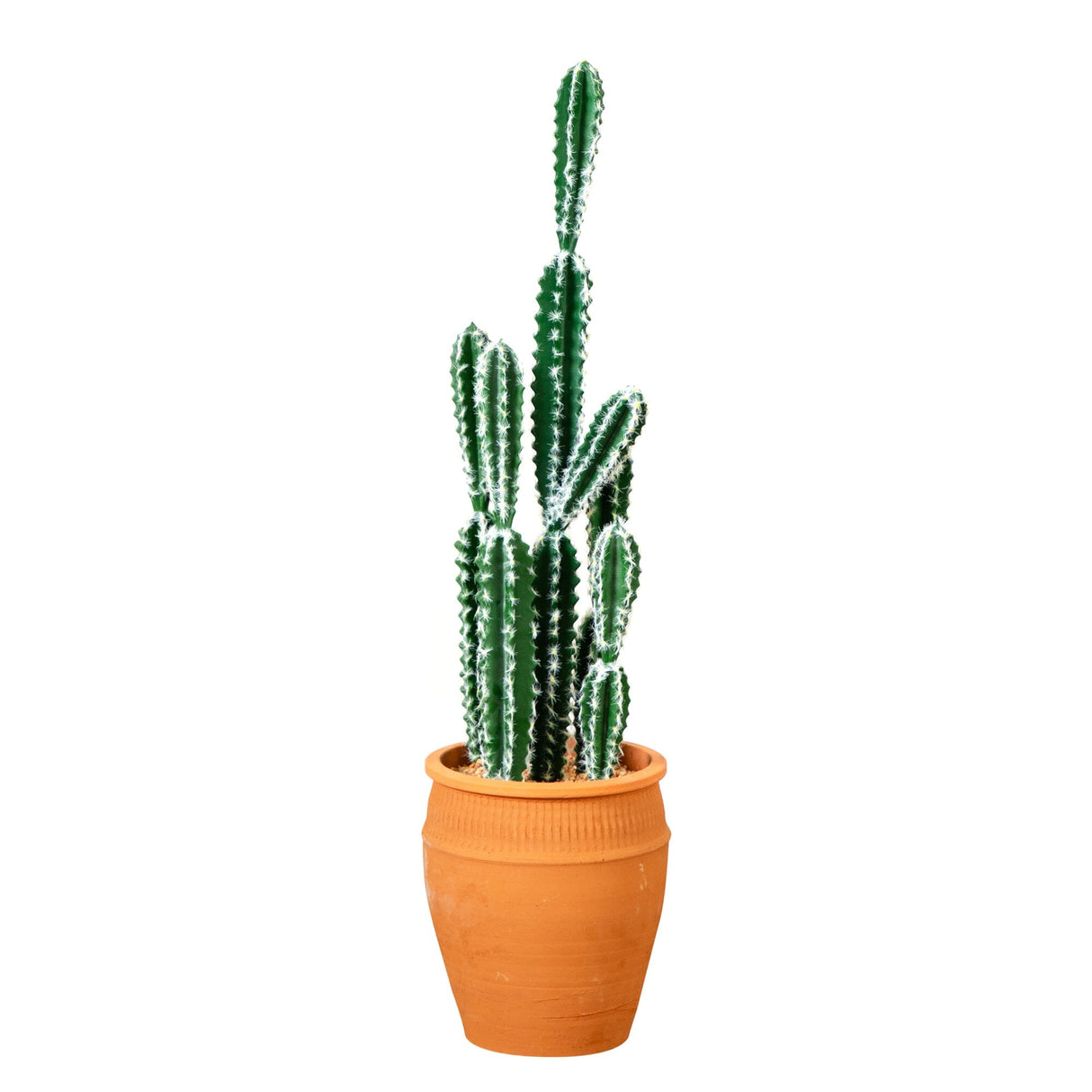 41” Artificial Cactus in Terracotta Planter-Plant in Planter-Parc Decor
