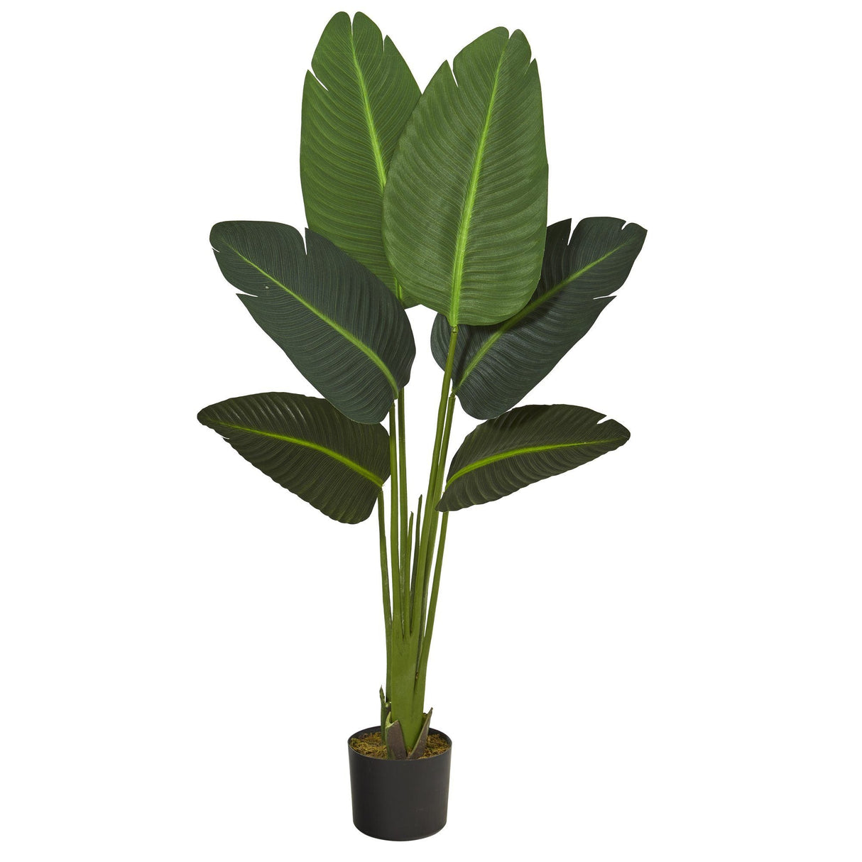 45” Traveler’s Palm Artificial Plant (Real Touch)-Parc Decor
