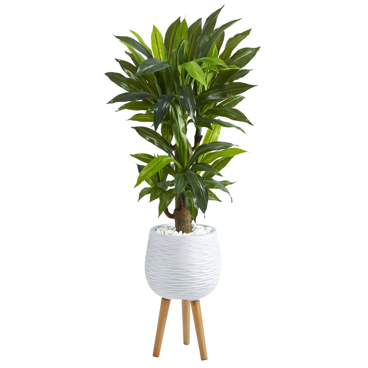 46” Corn Stalk Dracaena Artificial Plant in White Planter with Stand (Real Touch)-Parc Decor