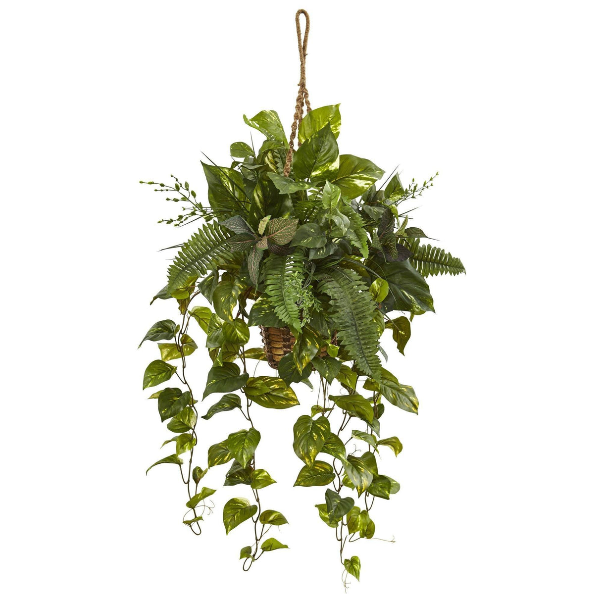 46" Mixed Pothos and Boston Fern in Hanging Basket"-Parc Decor