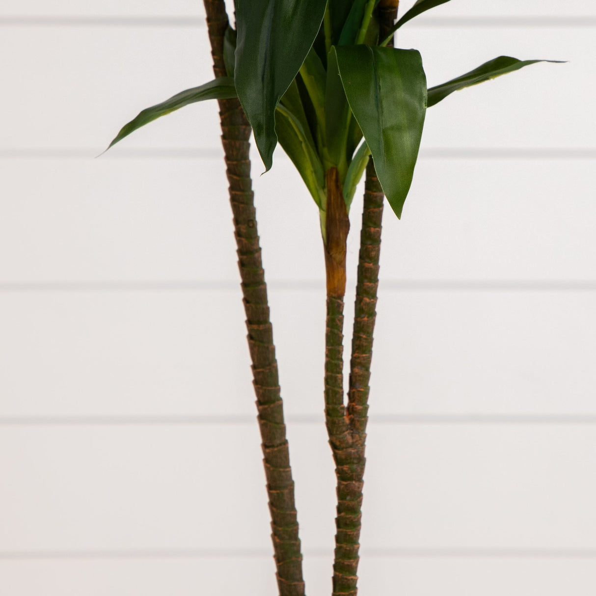 48" Dracaena Silk Plant (Real Touch)-Parc Decor