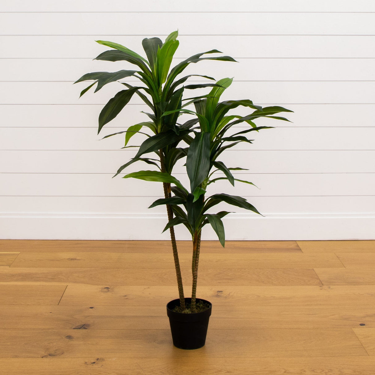 48" Dracaena Silk Plant (Real Touch)-Parc Decor