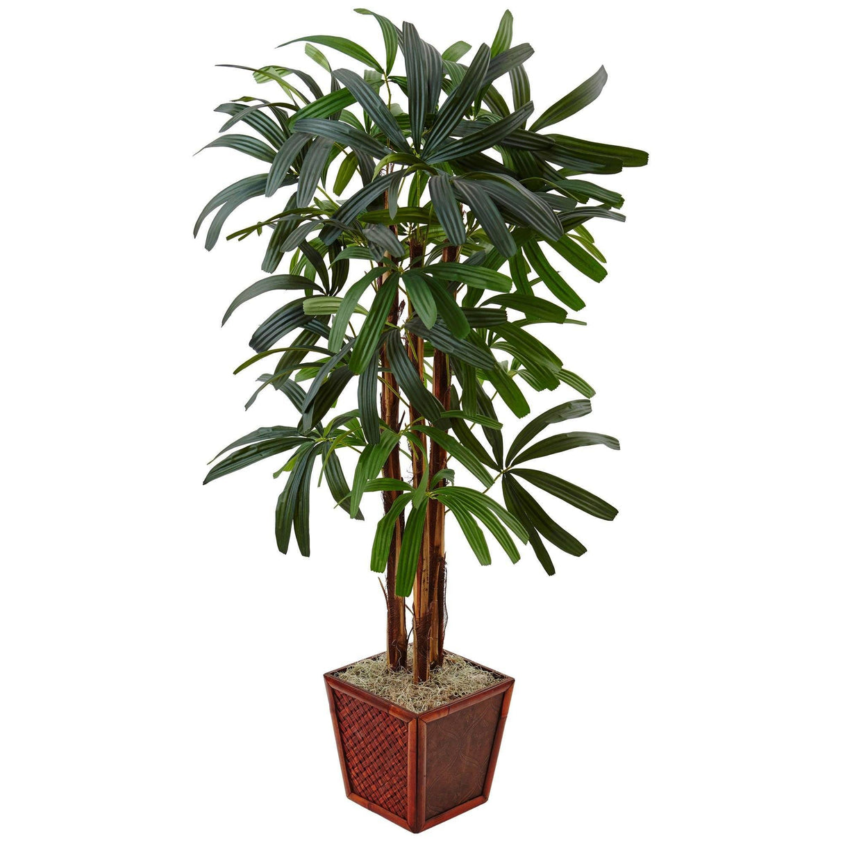 4.5’ Artificial Raphis Palm Tree in Bamboo Planter-Parc Decor