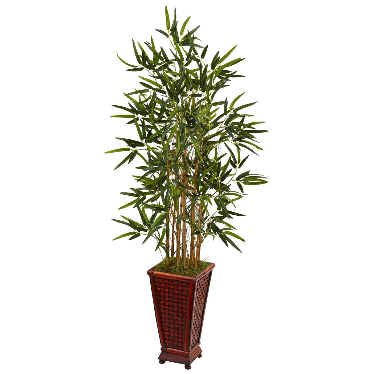 4.5’ Bamboo Tree in Decorative Planter-Parc Decor