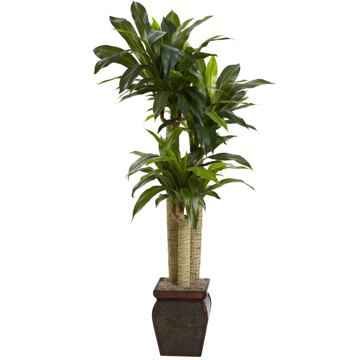 4.5’ Cornstalk Draceana w/Vase (Real Touch)-Parc Decor