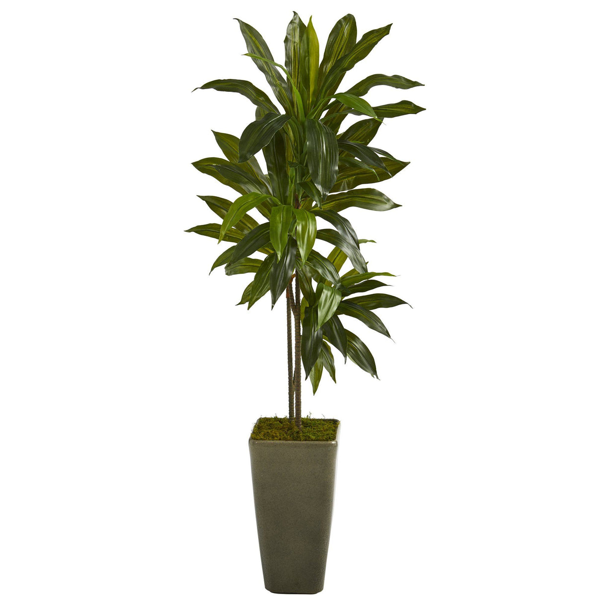 4.5’ Dracaena Artificial Plant in Green Planter (Real Touch)-Parc Decor