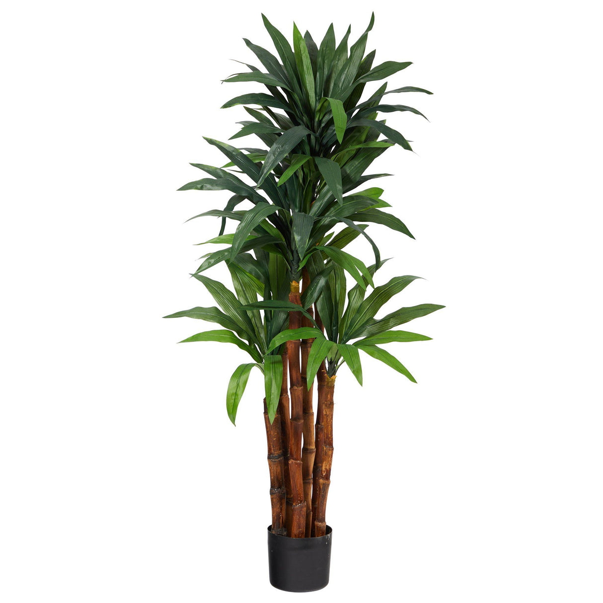 4.5’ Dracaena Artificial Tree with Natural Trunk-Parc Decor