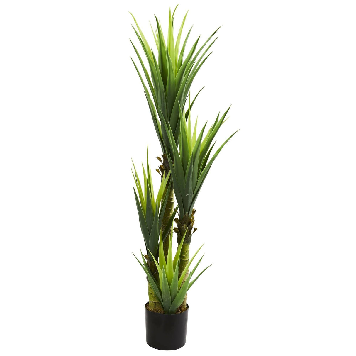 4.5’ Dracaena Plant-Parc Decor