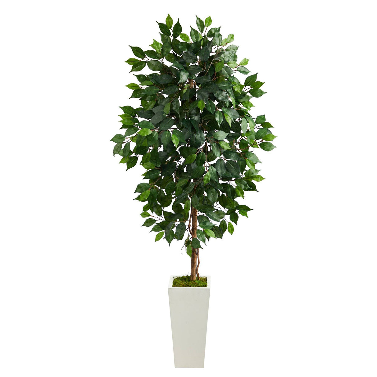 4.5’ Ficus Artificial Tree in White Planter-Parc Decor