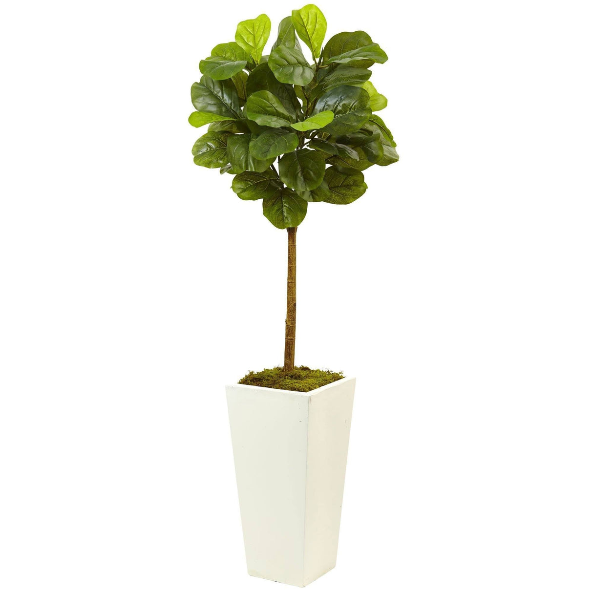 4.5’ Fiddle Leaf Fig in White Planter (Real Touch)-Parc Decor