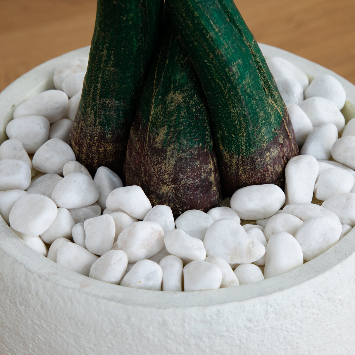 4.5’ Money Artificial Tree in White Oval Planter (Real Touch-Parc Decor